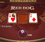 Click to play Free Red Dog Game